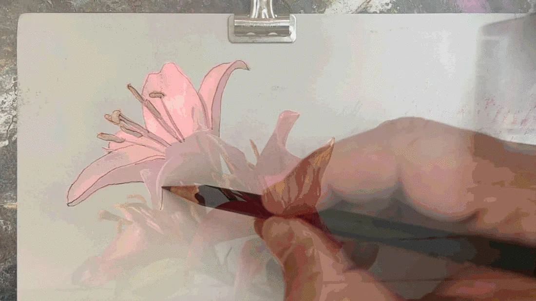 NeoLucida Deluxe - Image 7