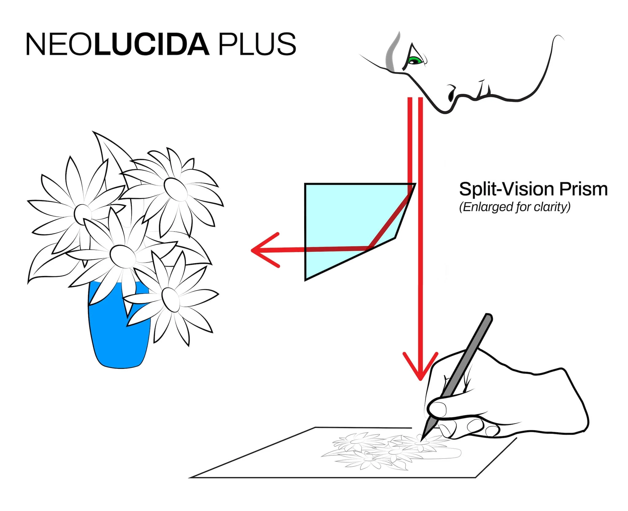 NeoLucida PLUS - Image 7