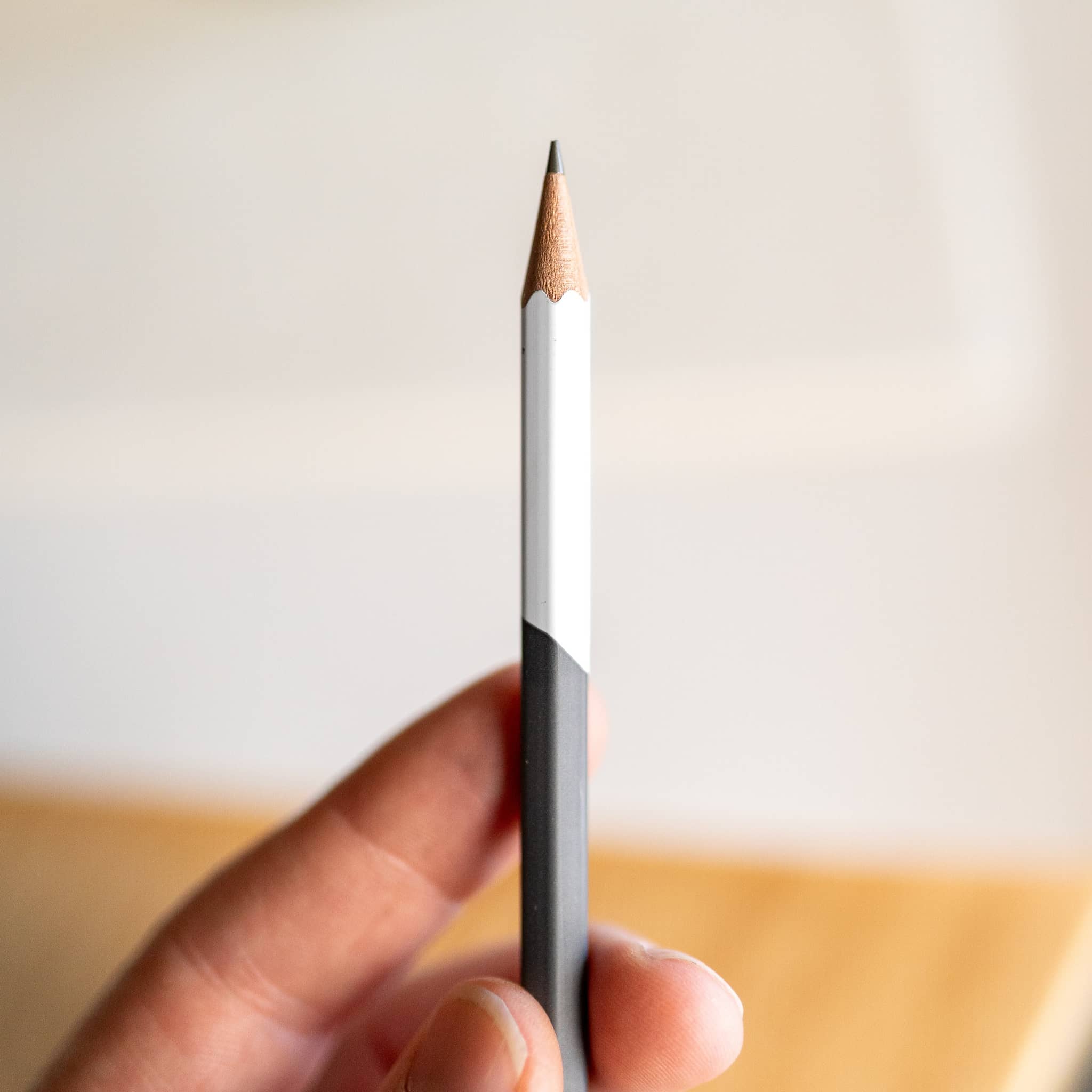 BLACKWING X NEOLUCIDA PENCILS 12pk - Image 10