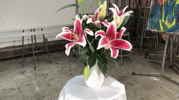 NeoLucida XL: a See-Through Camera Lucida - Image 4