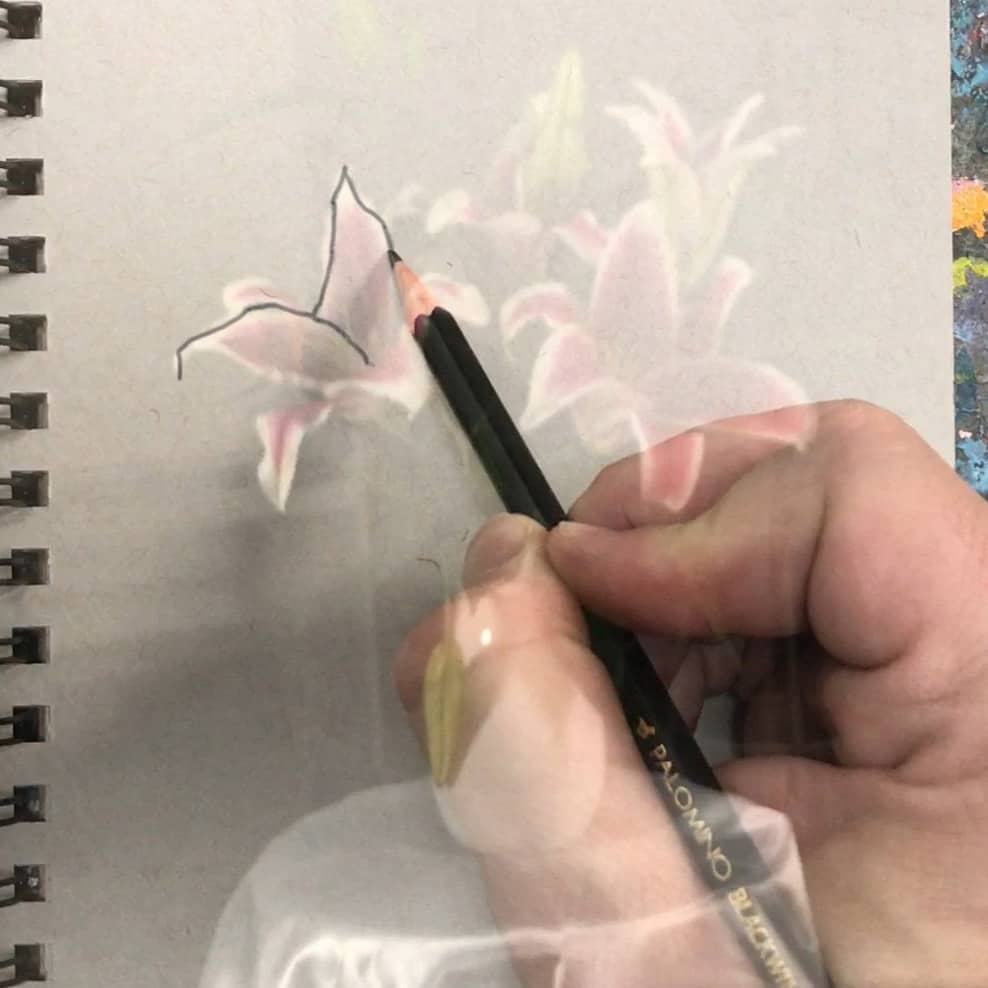 NeoLucida XL: a See-Through Camera Lucida - Image 5