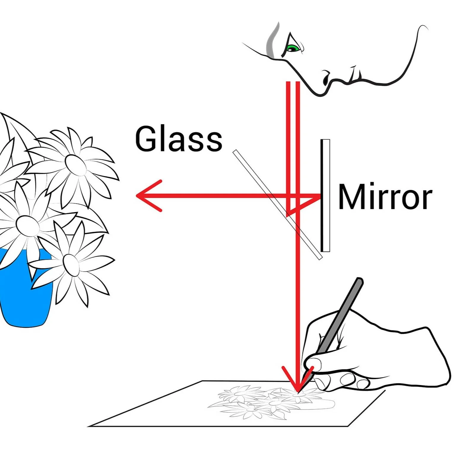 NeoLucida XL: a See-Through Camera Lucida - Image 6