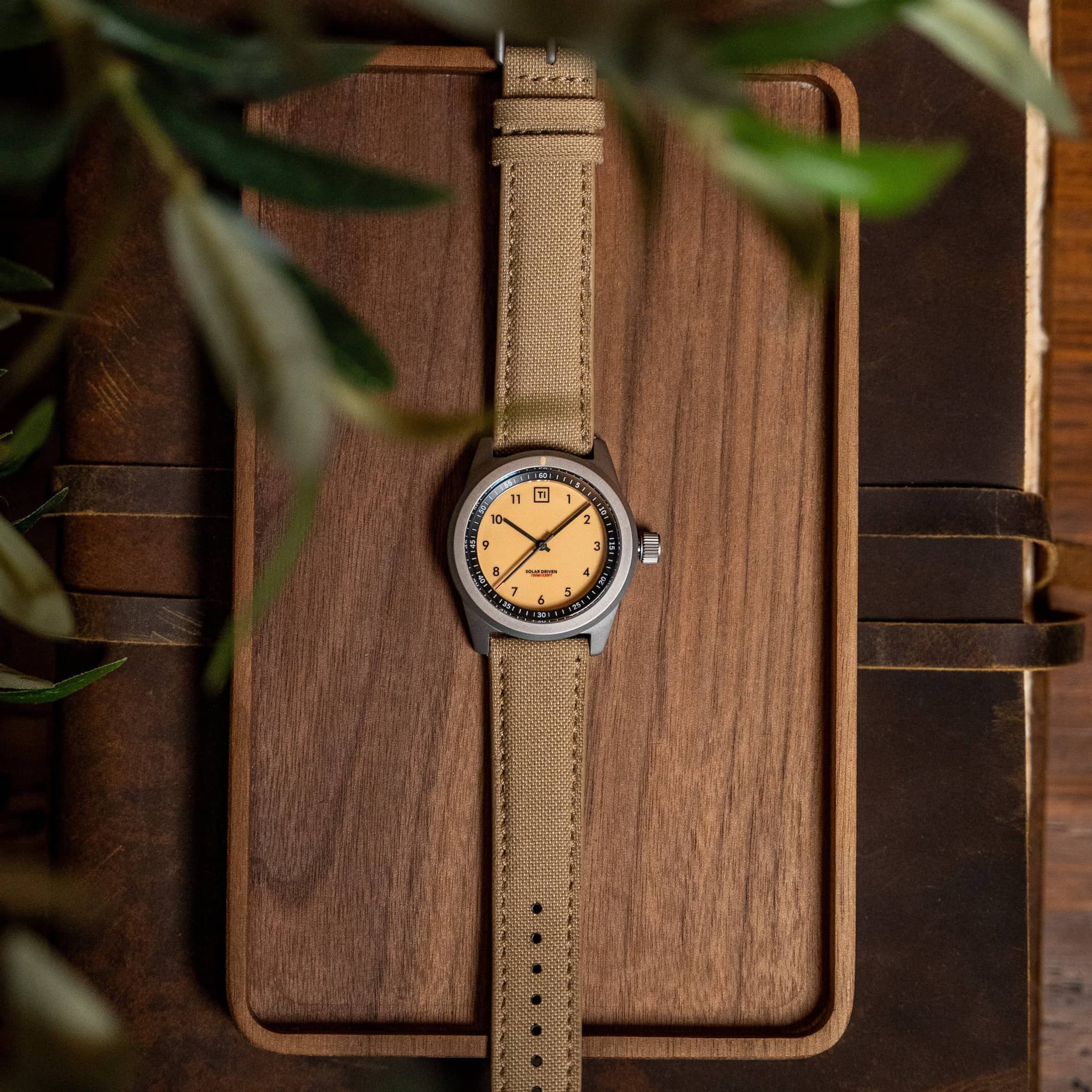 Ti Daily Solar 2024 - Image 12