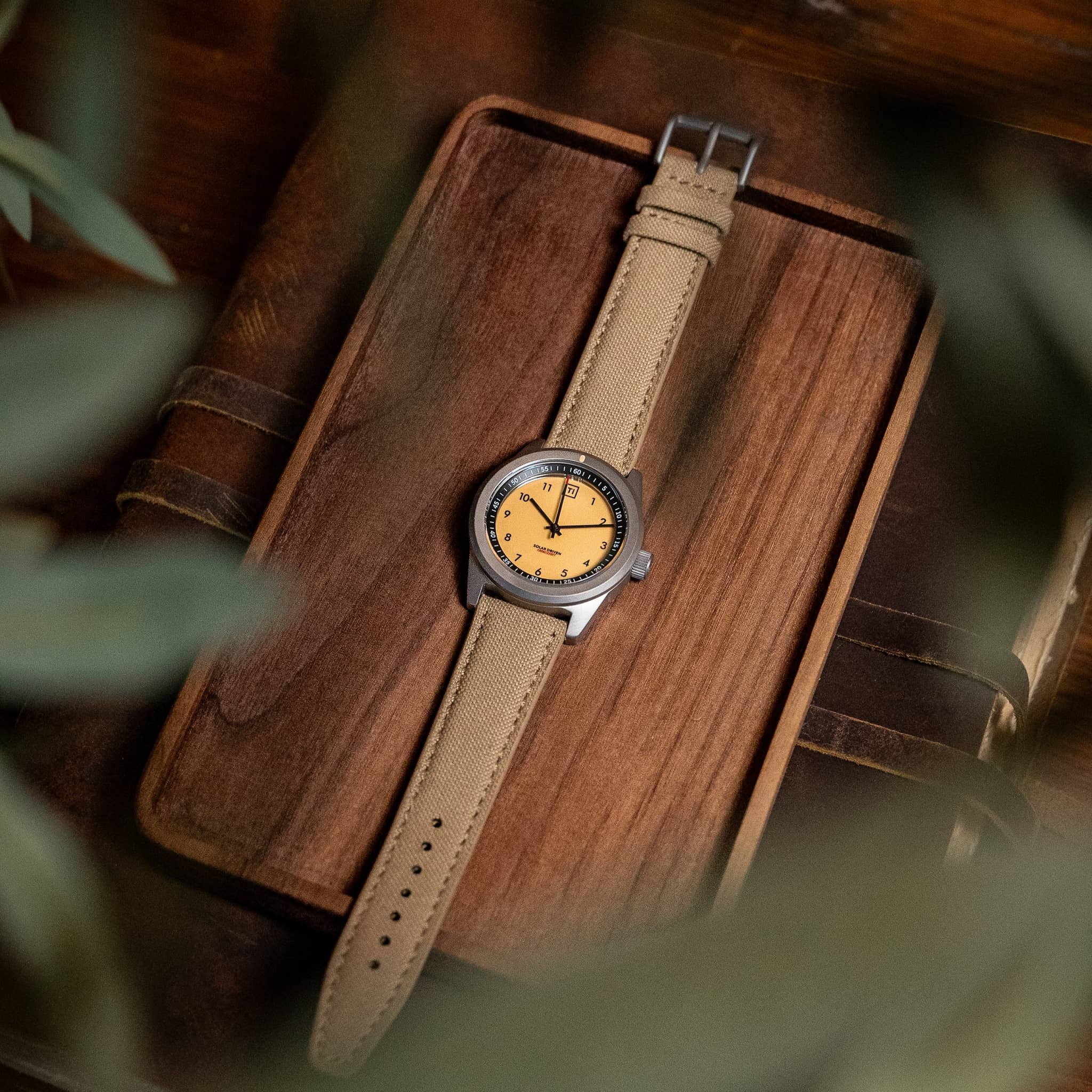 Ti Daily Solar 2024 - Image 16